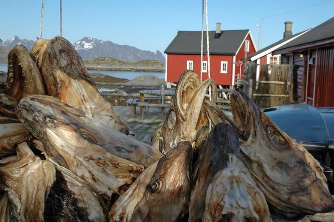 2-Day Lofoten Highlights Photo Tour (Summer) - Svolvær Logistics: Pickup, Private Ride, and the Comfort Factor