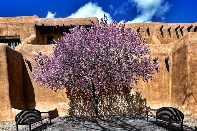 2-Hour Photography Class While Touring Downtown Santa Fe, Smart Phones Welcome! - Portraiture and Low-Light Techniques You Can Use Immediately