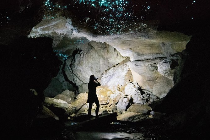 3-Hour Private Photography Tour in Waitomo Caves - Key Points You’ll Care About