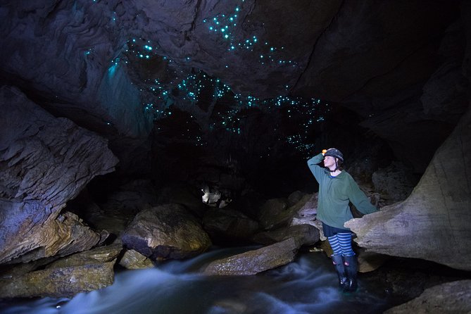 3-Hour Private Photography Tour in Waitomo Caves - Bring Your Camera Gear Smartly (They Want You to Use It)