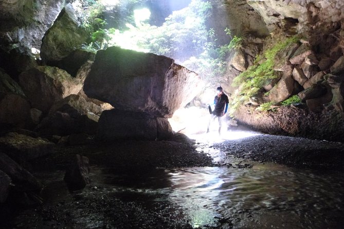 3-Hour Private Photography Tour in Waitomo Caves - Timing: Morning vs Afternoon and Why It Matters for Glow Worm Shots