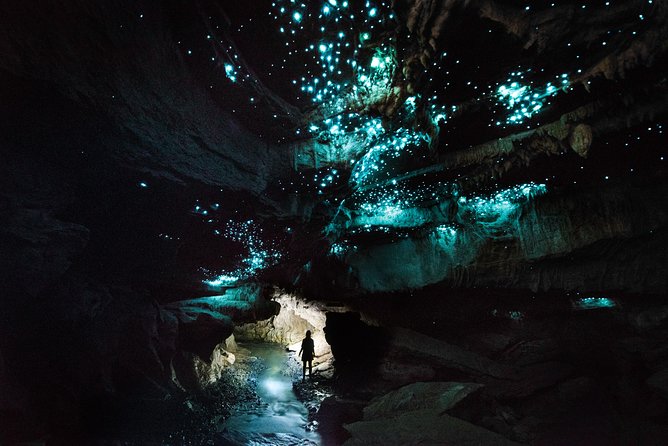 3-Hour Private Photography Tour in Waitomo Caves - Your Photographer-Guide: Tips That Actually Change Your Photos