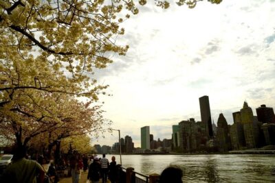 3Days New York City Tour With Professional Photographer - Why These Neighborhood Stops Work for Photos (Not Just Sightseeing)