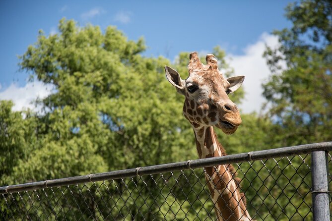 3Days New York City Tour With Professional Photographer - Bronx Zoo at 2:00 PM: Wildlife Photos Without the Guesswork