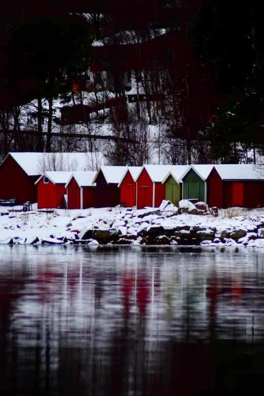 Abisko: Fjord Sightseeing and Photography Tour - Photography help: camera rentals, SD cards, and what to expect in real cold