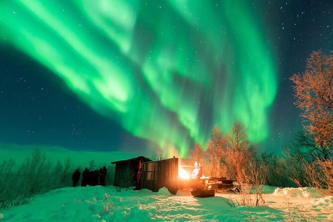 Abisko Northern Lights Tour with Photographer - Photos Included, Plus Help With Your Camera