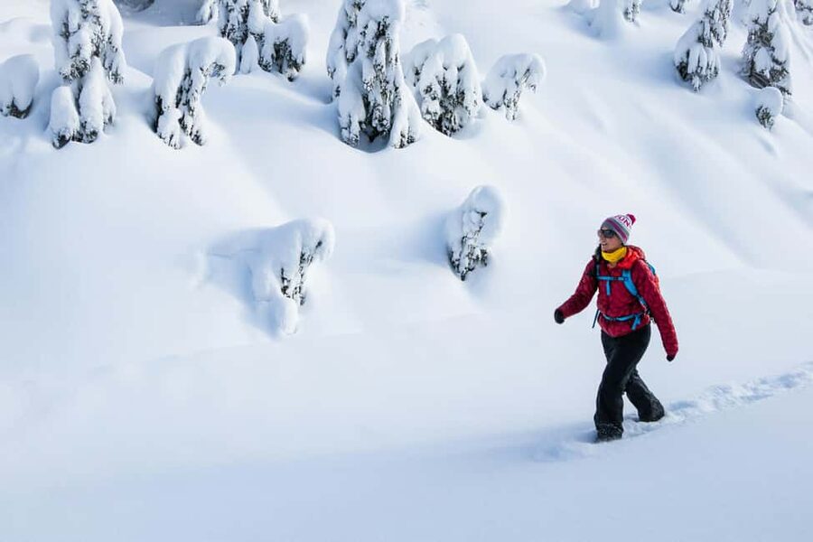 Abisko: Photo Hike with Professional Photographer - Key Highlights Worth Prioritizing