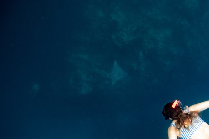 An Eagle Ray and Turtle Tour-Small Groups & Photography Included - Who this tour fits best (and who might want to rethink)