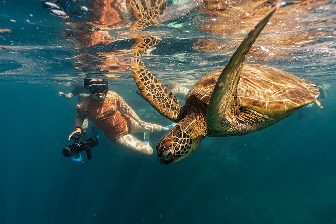 An Eagle Ray and Turtle Tour-Small Groups & Photography Included - Practical expectations: comfort, safety, and water conditions