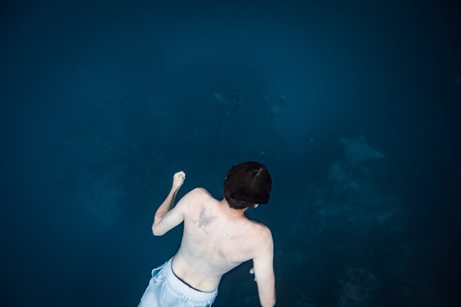 An Eagle Ray and Turtle Tour-Small Groups & Photography Included - The 90-minute flow: what happens once you meet in Rarotonga