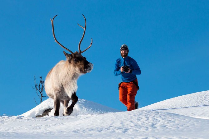 Arctic Nature Photography Sightseeing Tour from Tromso - Key Highlights Worth Your Time