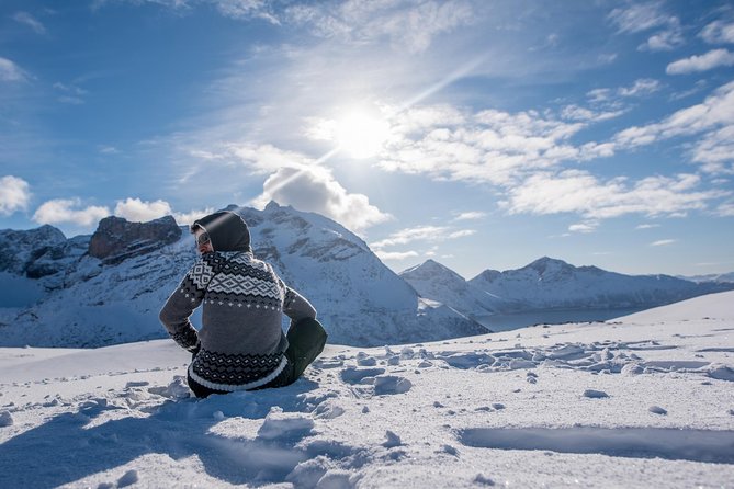 Arctic Nature Photography Sightseeing Tour from Tromso - Kvaløya By Van: How This Tromsø Tour Makes a Short Trip Feel Big