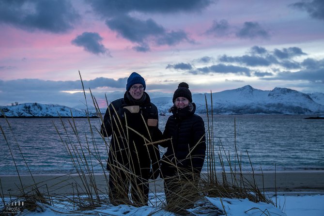 Arctic Nature Photography Sightseeing Tour from Tromso - Wildlife Expectations on Kvaløya: What You Can See (and What You Should Not Bet On)