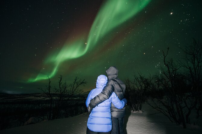 Aurora Car Chasing Tour with Photographer - Aurora Car Chasing in Abisko: Better Odds Than Waiting in One Spot