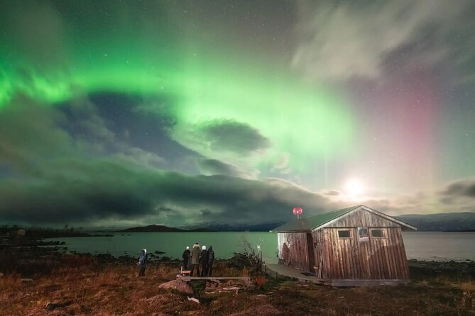 Aurora Car Chasing Tour with Photographer - What Happens in 3 Hours: Pickup, Abisko Searching, and the Photo Moment