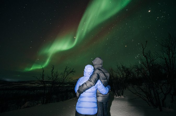 Aurora Car Chasing Tour with Photographer - Price and Value: Is $158.21 Worth It?