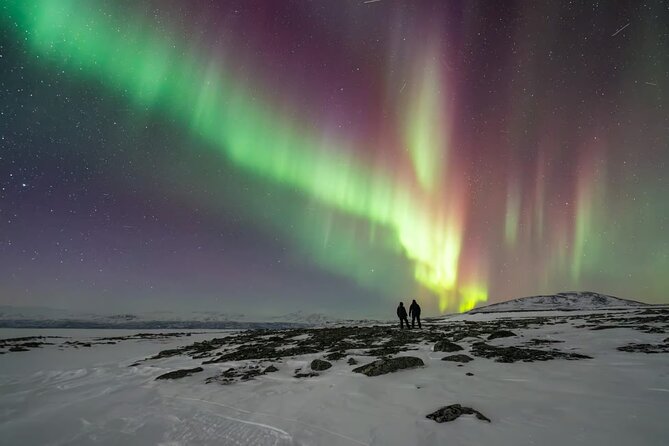 Aurora Car Chasing Tour with Photographer - Accessibility, Language, and Who This Tour Fits Best