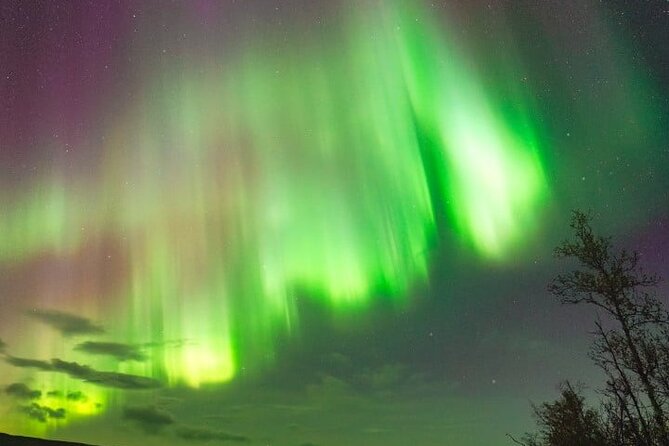 Aurora Car Chasing Tour with Photographer - Should You Book This Aurora Car Chasing Tour?