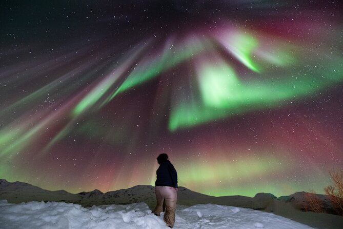 Aurora Hunt with Professional Photographer from Alta - Entering the hunt in Alta’s real winter conditions