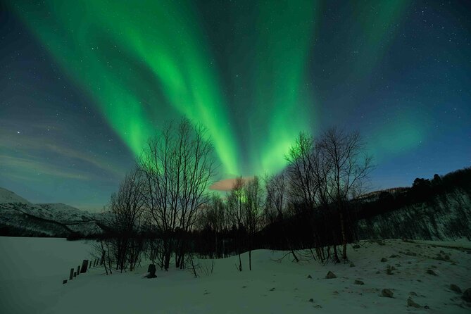 Aurora Hunt with Professional Photographer from Alta - Night photography coaching with Mirko and Milvia