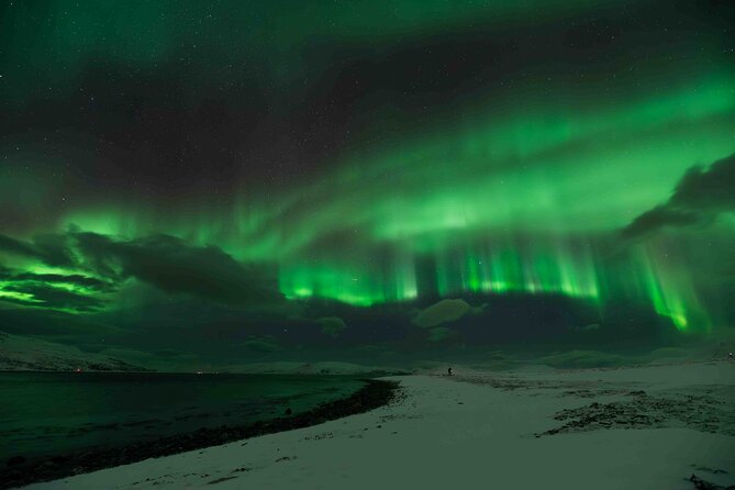 Aurora Hunt with Professional Photographer from Alta - How the tour maximizes your Northern Lights odds