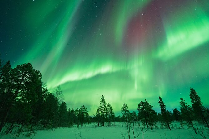 Aurora Hunt with the campfire and professional photographer - Thermal suit included: what it does for you (and what you still must bring)