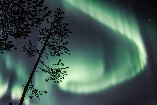 Aurora Hunting Photo Tour from Rovaniemi with Pickup - The Safartica start point: where your aurora plan begins