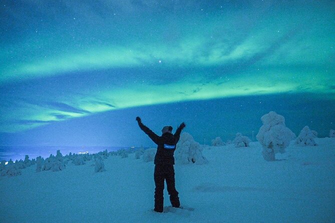 Aurora Photography Tour 3 HOURS - Logistics you’ll actually care about: pickup, language, and the vibe