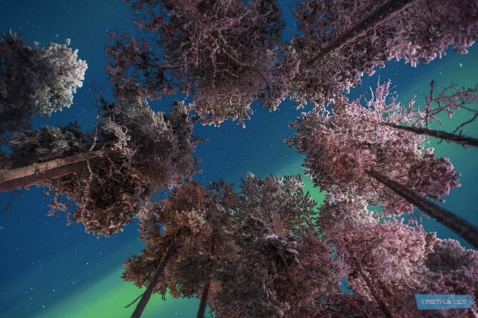 Aurora Photography Tour 3 HOURS - Who this tour suits best (and who should think twice)