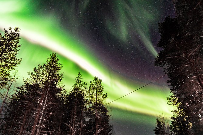 Auroras in Saariselkä – Northern Lights Photo Tour by Car and on Foot - Price and value: what $157.71 buys you at night
