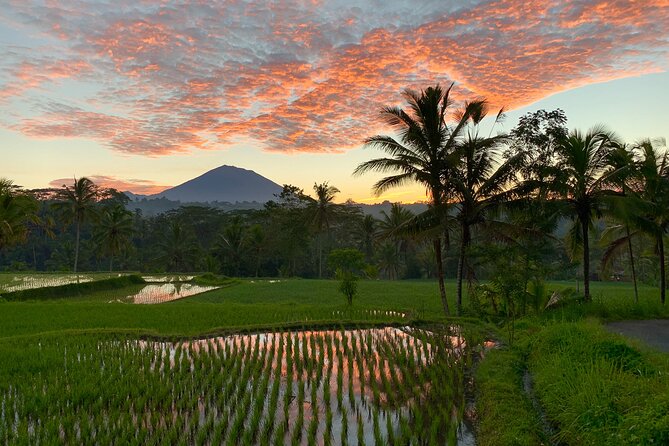 Bali Full Day Photography Tour - Lunch With Balinese Families: Meal Included, Culture Up Close