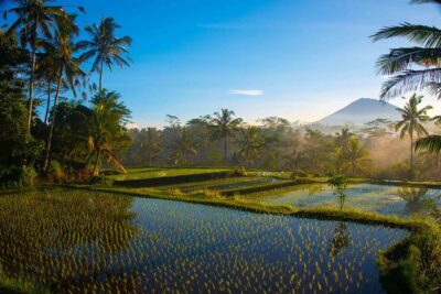 Bali Full Day Photography Tour - Mount Agung Sunrise: Best Light, Best Angles, and Rural Morning Activity