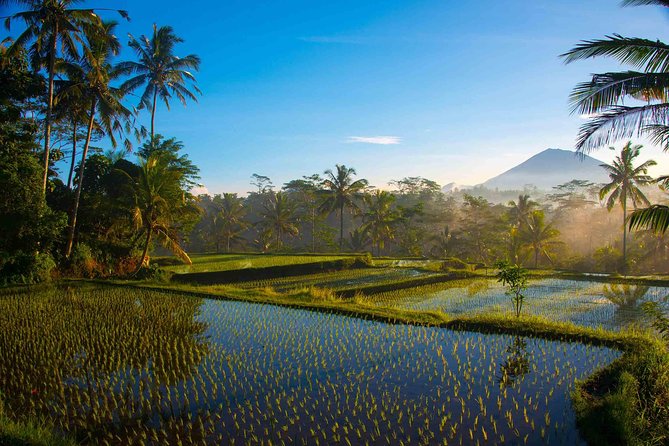 Bali Full Day Photography Tour - Mount Agung Sunrise: Best Light, Best Angles, and Rural Morning Activity