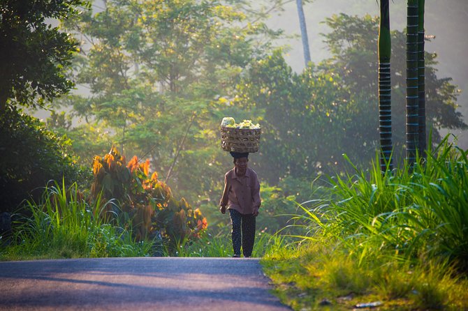 Bali Half Day Photography Tour - What to expect at each stop, realistically
