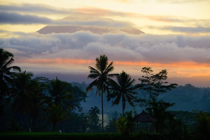 Bali Half Day Photography Tour - Price and value: is $164.11 worth it for a half day?