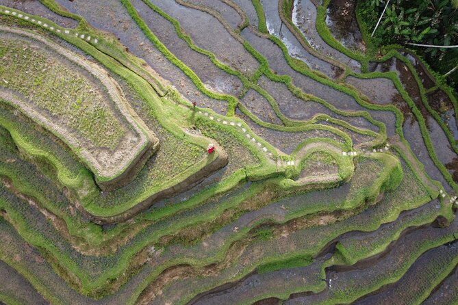Bali Private Photographer & Drone - A Two-Hour Photo and Drone Plan for Ubud That Feels Personal