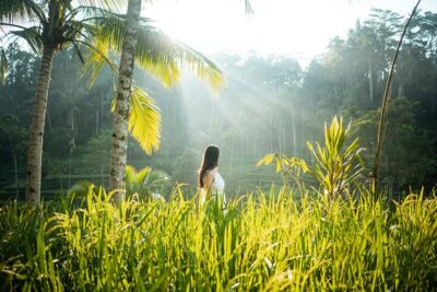 Bali Private Photographer & Drone - Price and Value: Is $65 Reasonable for Photos and Drone?