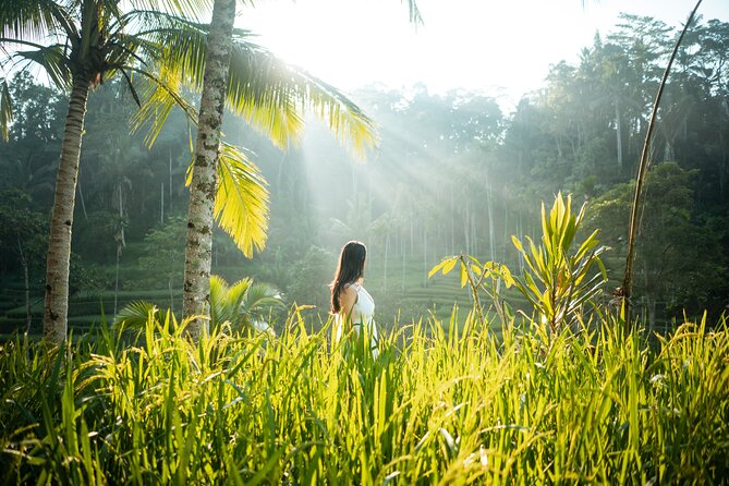 Bali Private Photographer & Drone - Price and Value: Is $65 Reasonable for Photos and Drone?
