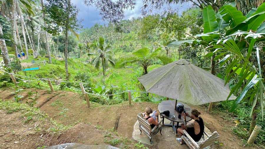 Bali:Traditional Wedding Photoshoot with the Rice Field View - Transport, pickup, and where you’ll be dropped off in Bali