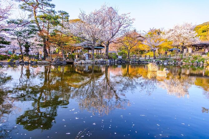 Beautiful Photography Tour in Kyoto - Key Highlights You’ll Actually Care About