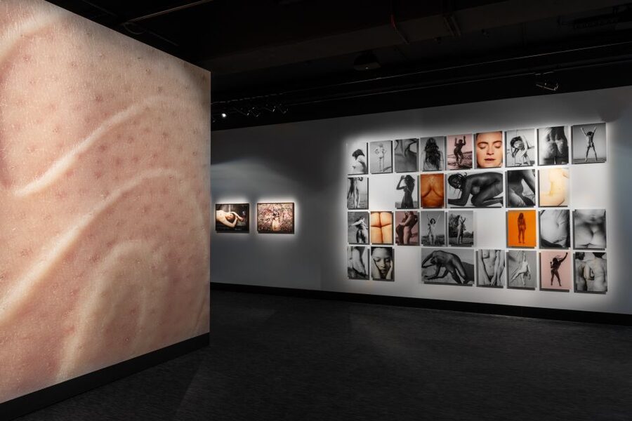Berlin: Fotografiska Photography Exhibition Ticket - Drinks, Kids, and Dogs: Rules That Change the Museum Mood