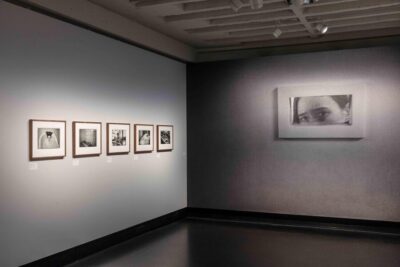 Berlin: Ticket for Photography Exhibitions at C/O Berlin - What your one-day ticket really covers (and what it doesn’t)