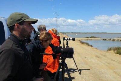 Birding & Photography Day Trip to Doñana from Seville - How driving and short walks help your bird-spotting
