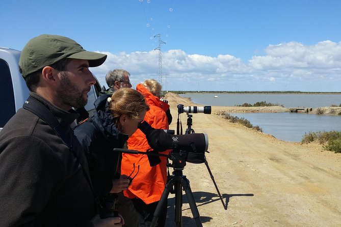 Birding & Photography Day Trip to Doñana from Seville - How driving and short walks help your bird-spotting