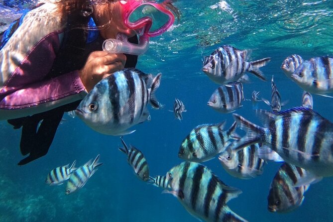 Blue Cave Private Snorkeling with Photoshoot - What You Actually Do: Gear Up, Enter Calm Water, Then Enjoy the Fish