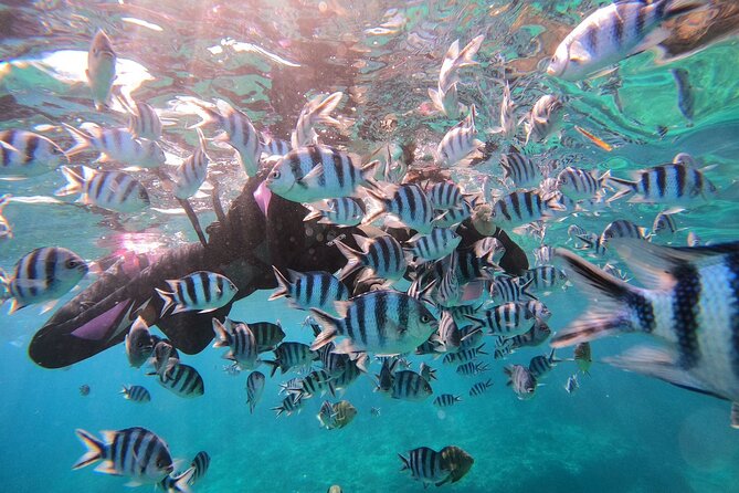 Blue Cave Private Snorkeling with Photoshoot - The GoPro Photoshoot: Included Photos Go Straight to Your Phone