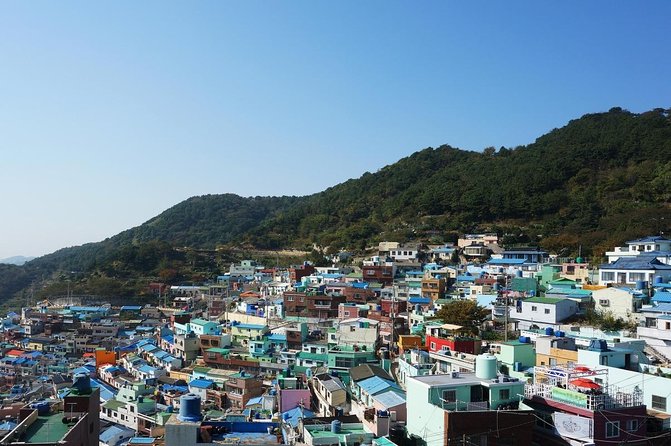 Busan Night Small Group Photo Tour (Max 7) - Key Points You Should Know Before Booking