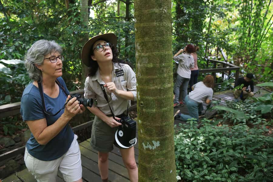 Cairns: Insect Photography Tour of Cairns Botanic Gardens - What to bring so you feel prepared, not rushed