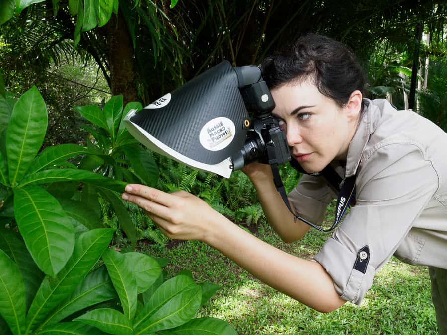Cairns: Insect Photography Tour of Cairns Botanic Gardens - How the 2-hour format works (and how to plan your expectations)