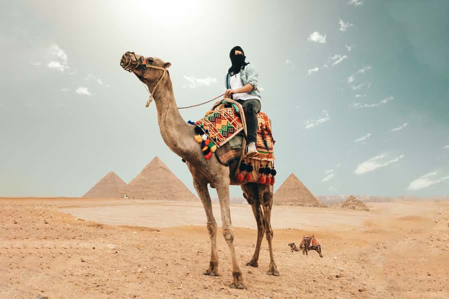 Cairo: Pyramids, Bazaar, Citadel Tour with Photographer - Getting Oriented in Cairo: Pickup, Transport, and a Photo-Friendly Pace